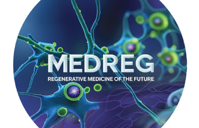 Książka abstraktów z konferencji MedReg 2025 