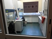 Laboratorium hodowli komórkowych - Zakład Embriologii