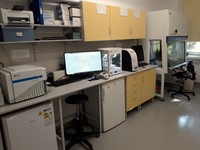 Laboratorium analiz komórkowych - Zakład Embriologii